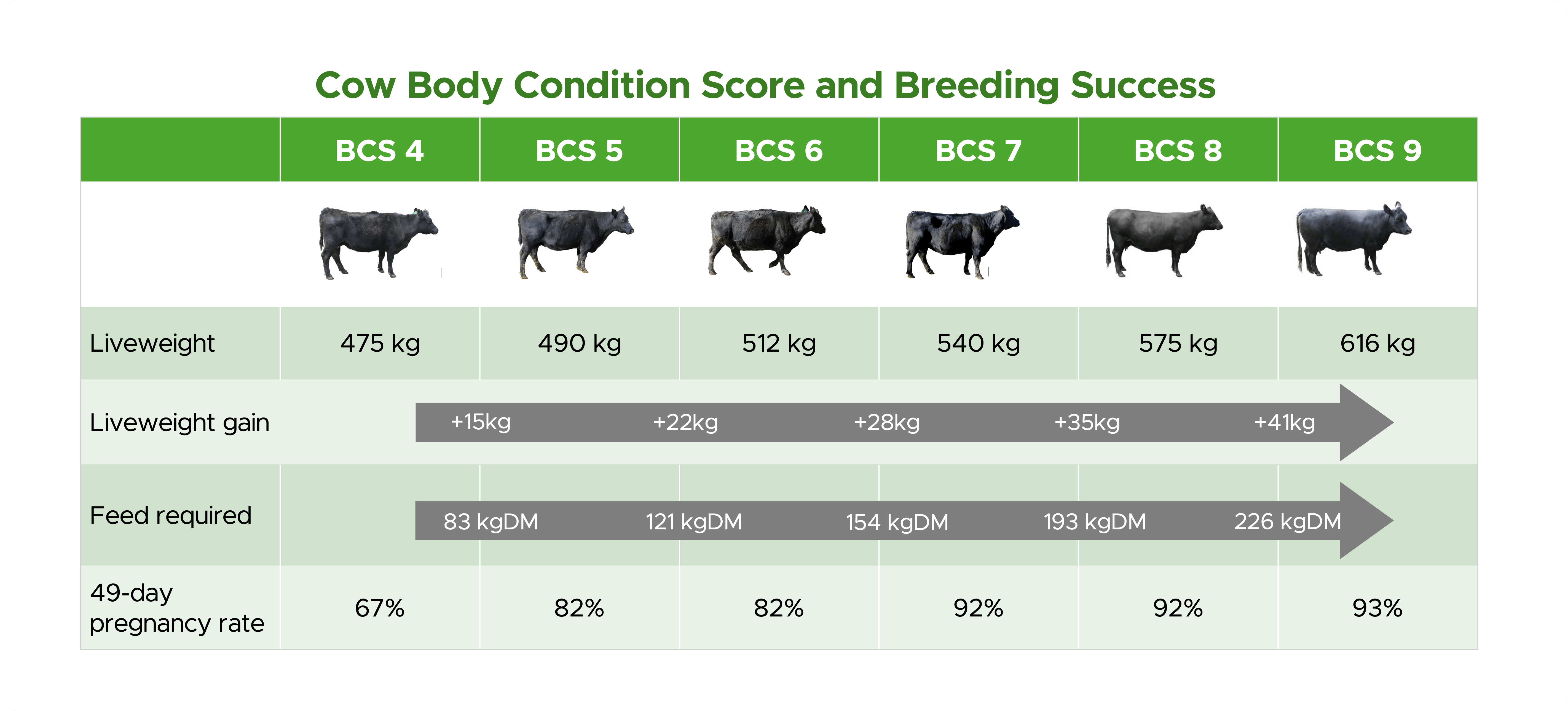 Managing cow BCS for breeding success Beef Progeny Test Results B